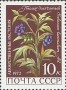 植物:欧洲:苏联:ussr197205.jpg