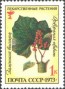 植物:欧洲:苏联:ussr197301.jpg