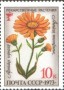 植物:欧洲:苏联:ussr197304.jpg