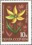 植物:欧洲:苏联:ussr197404.jpg