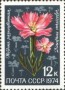 植物:欧洲:苏联:ussr197405.jpg