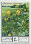 植物:欧洲:苏联:ussr197502.jpg