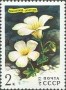 植物:欧洲:苏联:ussr197701.jpg