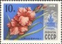 植物:欧洲:苏联:ussr197804.jpg
