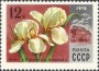 植物:欧洲:苏联:ussr197805.jpg
