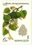 植物:欧洲:苏联:ussr198003.jpg
