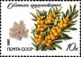 植物:欧洲:苏联:ussr198004.jpg