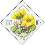 植物:欧洲:苏联:ussr198103.jpg