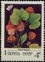 植物:欧洲:苏联:ussr198201.jpg