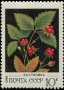 植物:欧洲:苏联:ussr198203.jpg