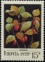 植物:欧洲:苏联:ussr198204.jpg