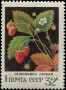 植物:欧洲:苏联:ussr198205.jpg