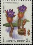 植物:欧洲:苏联:ussr198402.jpg