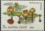 植物:欧洲:苏联:ussr198403.jpg