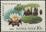 植物:欧洲:苏联:ussr198404.jpg