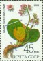 植物:欧洲:苏联:ussr198505.jpg