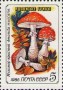 植物:欧洲:苏联:ussr198602.jpg