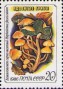 植物:欧洲:苏联:ussr198605.jpg