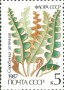 植物:欧洲:苏联:ussr198702.jpg