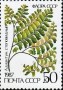 植物:欧洲:苏联:ussr198705.jpg