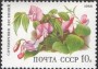 植物:欧洲:苏联:ussr198802.jpg