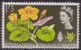 植物:欧洲:英国:uk196404.jpg
