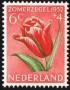 植物:欧洲:荷兰:nl195202.jpg