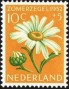 植物:欧洲:荷兰:nl195204.jpg