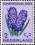 植物:欧洲:荷兰:nl195301.jpg
