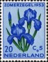 植物:欧洲:荷兰:nl195302.jpg