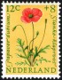植物:欧洲:荷兰:nl196002.jpg