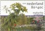 植物:欧洲:荷兰:nl200104.jpg
