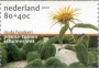 植物:欧洲:荷兰:nl200106.jpg