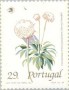 植物:欧洲:葡萄牙:pt198901.jpg