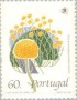 植物:欧洲:葡萄牙:pt198902.jpg
