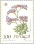 植物:欧洲:葡萄牙:pt198904.jpg
