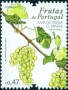 植物:欧洲:葡萄牙:pt201702.jpg