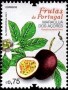 植物:欧洲:葡萄牙:pt201705.jpg