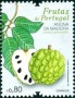 植物:欧洲:葡萄牙:pt201706.jpg