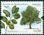 植物:欧洲:葡萄牙:pt201707.jpg