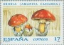 植物:欧洲:西班牙:es199301.jpg