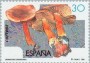 植物:欧洲:西班牙:es199502.jpg