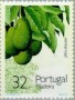 植物:欧洲:马德拉群岛:ptm199002.jpg