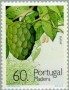 植物:欧洲:马德拉群岛:ptm199003.jpg