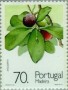 植物:欧洲:马德拉群岛:ptm199103.jpg