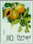 植物:欧洲:马德拉群岛:ptm199104.jpg