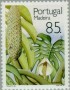 植物:欧洲:马德拉群岛:ptm199203.jpg