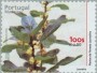 植物:欧洲:马德拉群岛:ptm200004.jpg