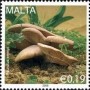 植物:欧洲:马耳他:mt200903.jpg