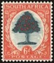 植物:非洲:南非:za193701.jpg